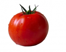 Salsa tomato